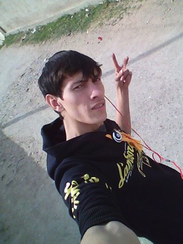 Камыш Каменый