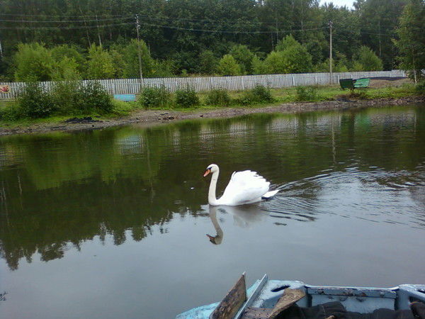 Маргарита Кабулжанова