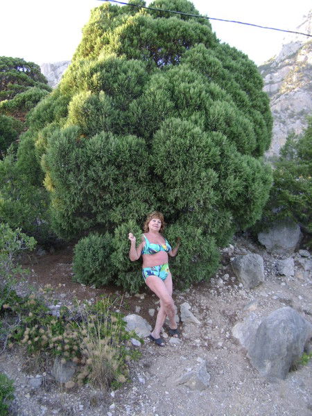 Мария Кутовая