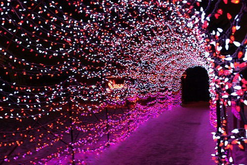 Касипкерлик Болими