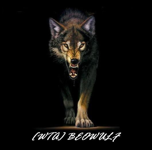 Магомед Раджабов