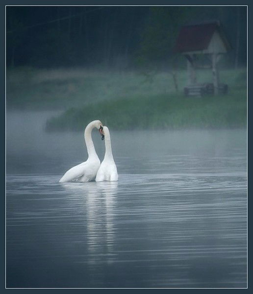 Геннадий Андреев