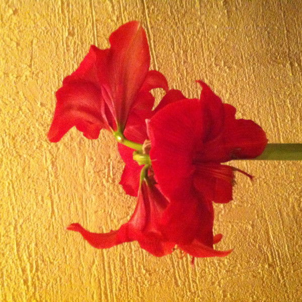 Уркия Габдуллина