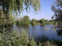 Валерий Волчановский