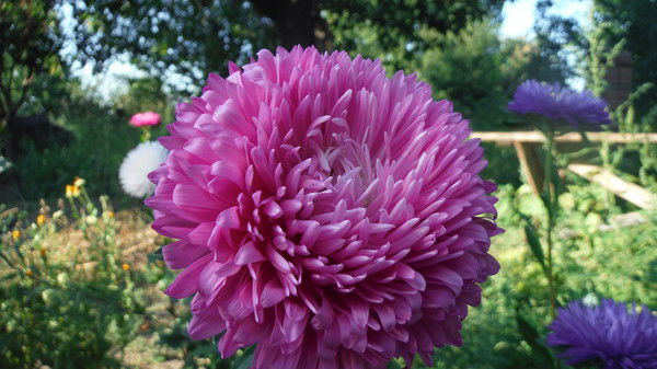 Оксана Федорова(Медони)