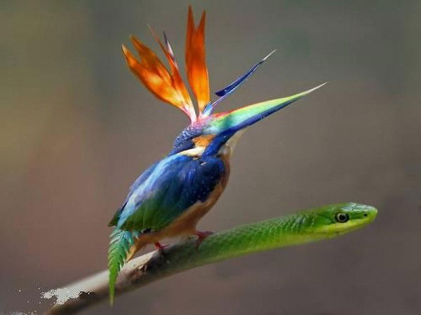 Олег Иванов