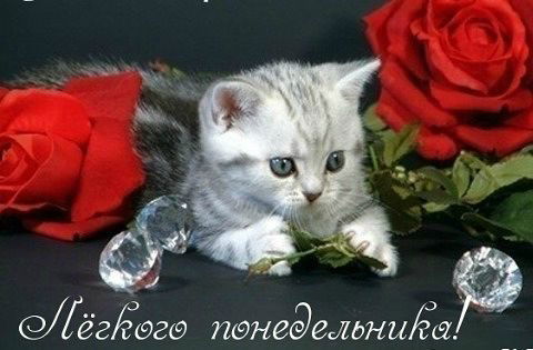 Танечка Морозова