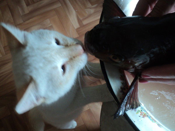 Наталья Иващенко