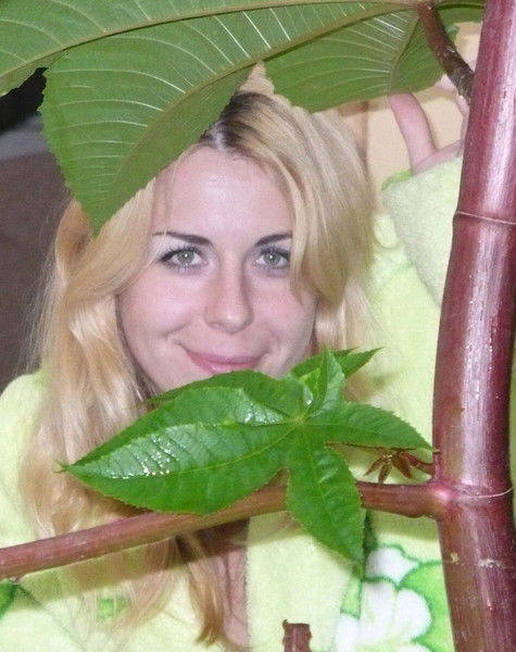 Елена Cидорова