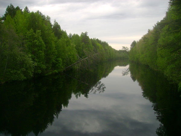 Елена Коломиец