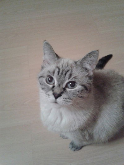 Ира Бурдукова