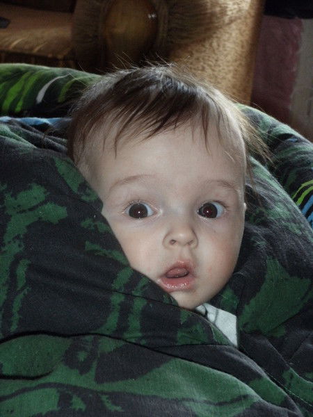 Елена Полякова