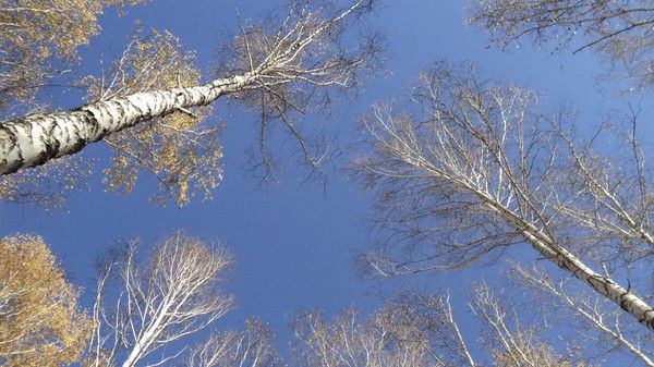 Татьяна Руденская