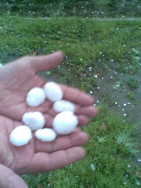 Комичроияи Ххдт Дар Нохияи Сино