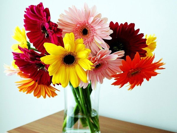 Наташа Козловская