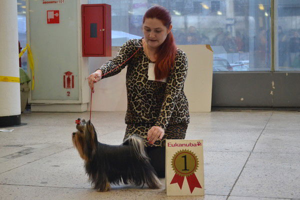 Екатерина Муравицкая