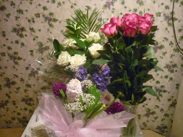 Елена Горбунова