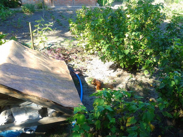 Виктор Титов