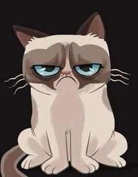 Родион Петров