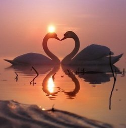 Улболган Джалгасбаева