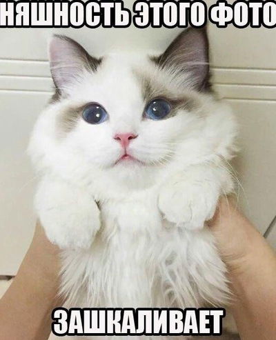 Маша Калинина