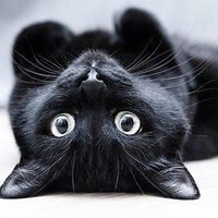 Екатерина Волина