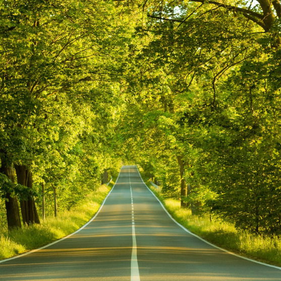 Балхия Сиддикова