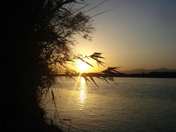 Валентина Юрова