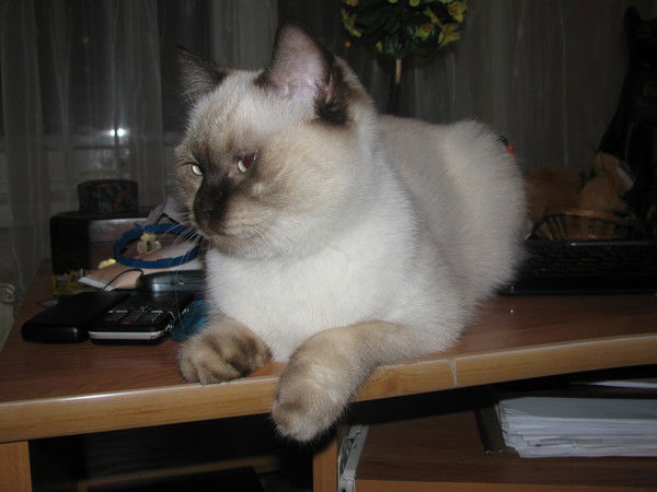 Оксана Ксюша