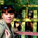 Елена Чернова