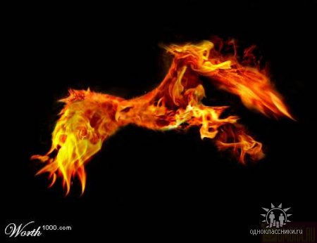 Андрей Пилипяк