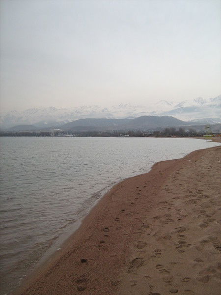 Мээрим Токтосунова