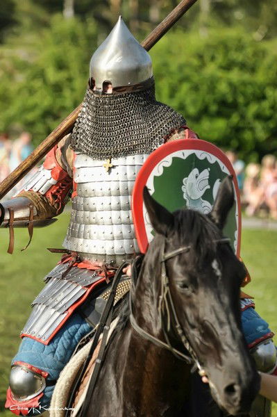 Дмитрий Стегний