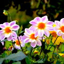 Марина Аглоненко