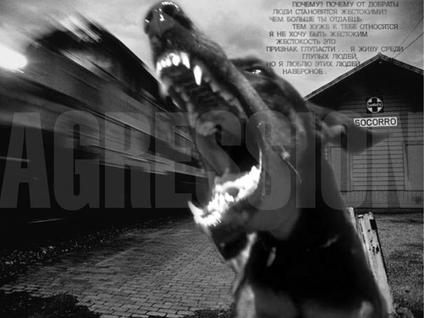 Cергей Степанов