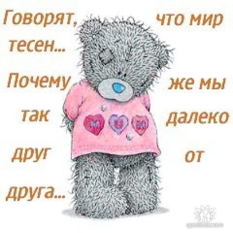 Даша Дружина