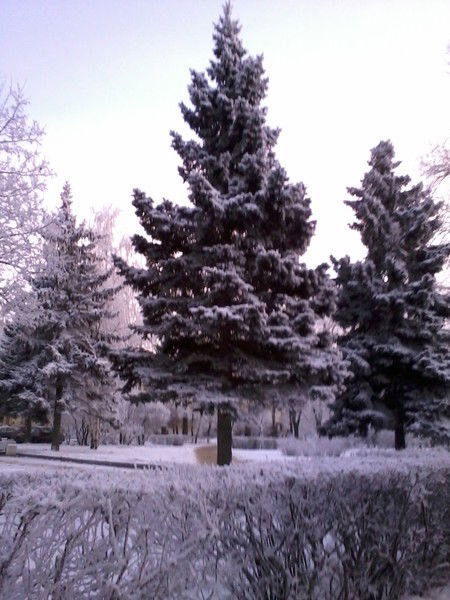 Елена Ромахова(Попова)