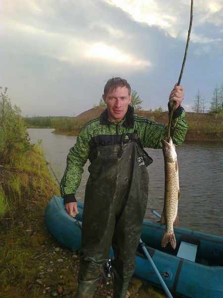 Михаил Жестаков