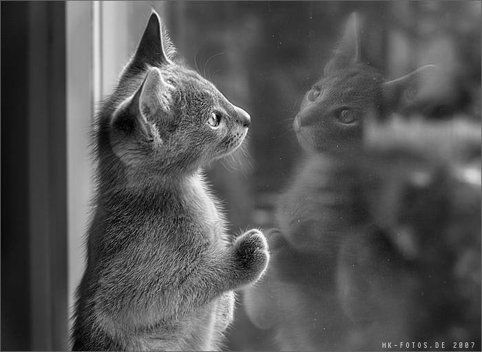 Светлана Иванова