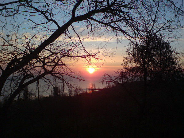 Ольга Сташко