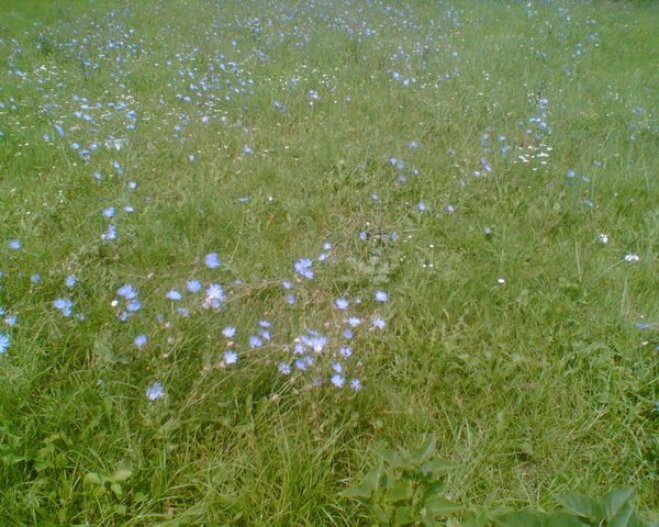 Людмила Калинина