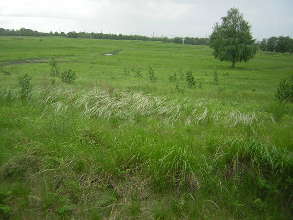 Наталия Кузнецова