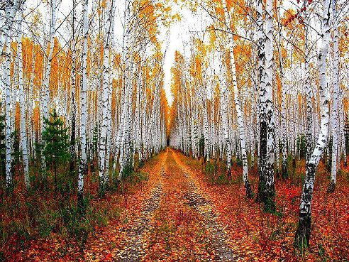 Неизвестно Неизвестно