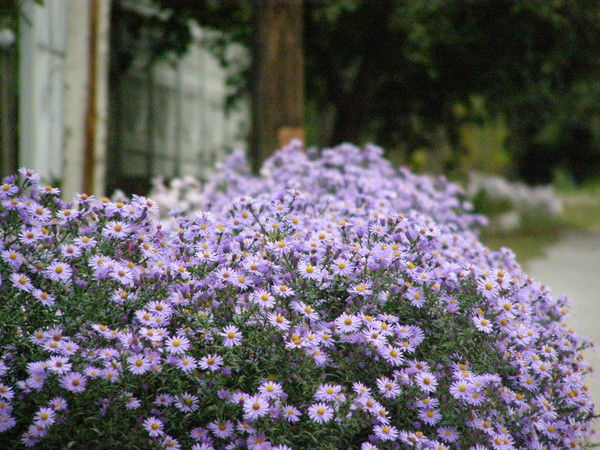 Юлия Кухарук-Захарова