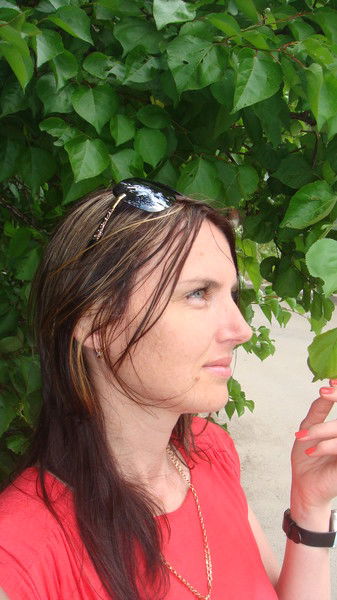 Алина Лысенко