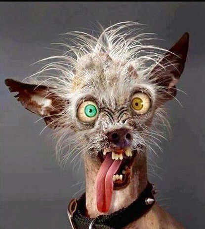 Дмитрий Набокин