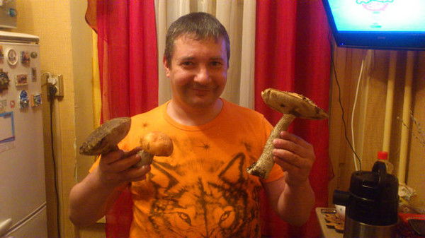 Сергей Стариченко