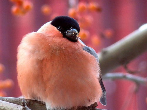 Галина Мартынова