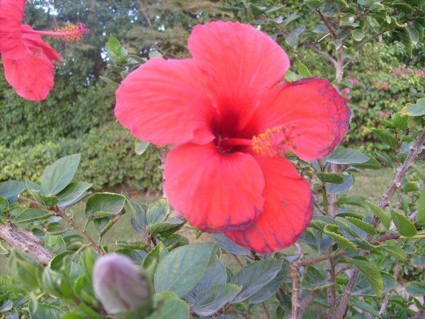 Татьяна Аленькина