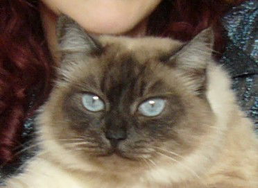 Татьяна Щербакова